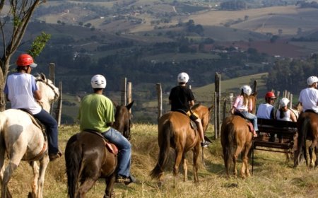 Lançamento do Programa “Caminhos Rurais” busca fortalecer turismo rural na região