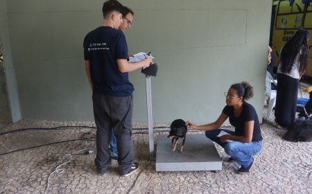 763 cães e gatos foram castrados gratuitamente em Serra Negra em 2024