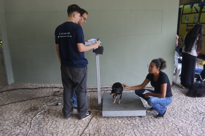 763 cães e gatos foram castrados gratuitamente em Serra Negra em 2024