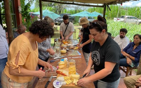 Serra Negra e Amparo têm propriedades na Rota do Queijo do Estado de São Paulo