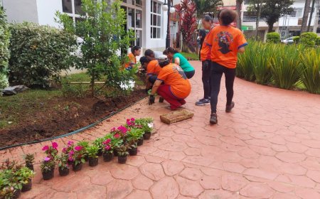 Mais de 25 mil flores já foram plantadas em Serra Negra nos últimos seis meses