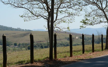 Inverno começa com Veranico: Massa de ar seco mantém calor no interior de SP