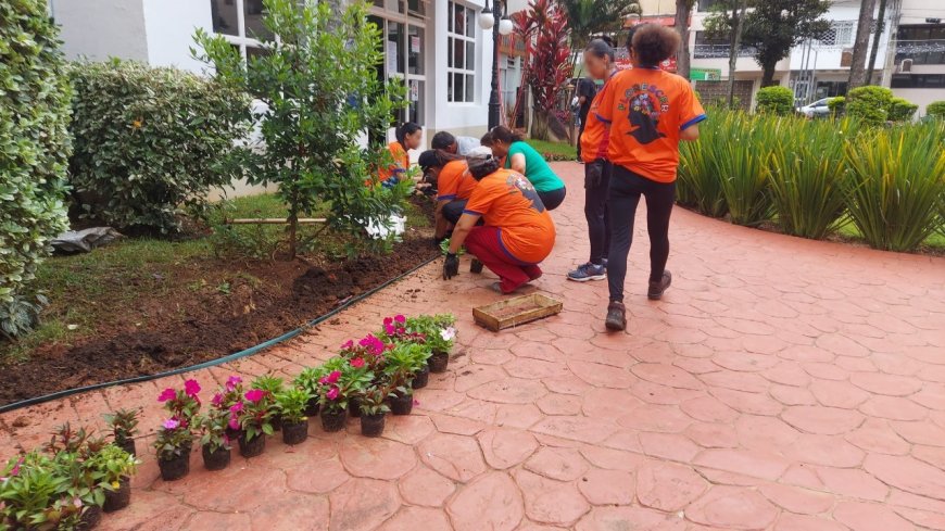 Mais de 25 mil flores já foram plantadas em Serra Negra nos últimos seis meses