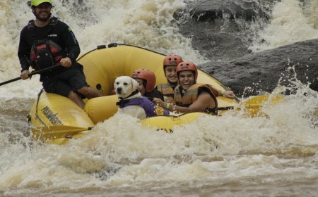 Socorro-SP recebe lançamento da 2ª Edição da Cartilha Pet Friendly