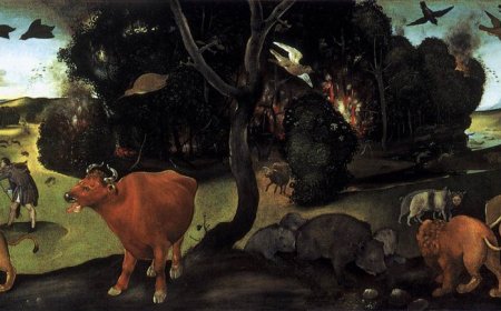 Adeus à paisagem verdejante