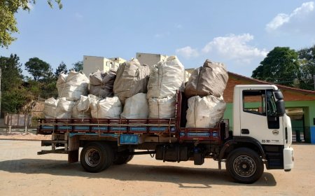 Prefeitura coletou 5.966 embalagens plásticas de agrotóxicos