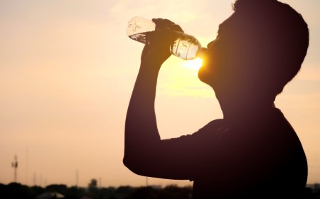 SP faz alerta para doenças transmitidas em tempos de estiagem, calor e queimadas