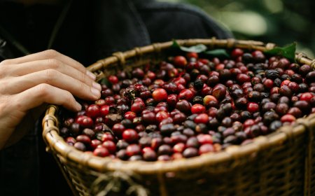 Café do estado de São Paulo é destaque nas exportações para China