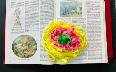 Em Socorro: Exposição “Impermanências” transforma cicatrizes em arte e debate sustentabilidade