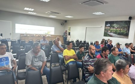 Feira livre de domingo continua na Rua Antônio Ricci