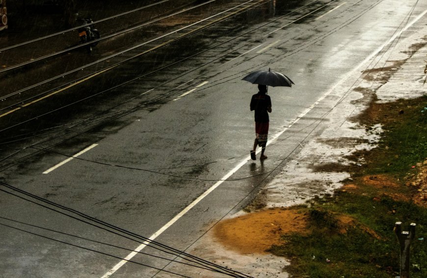 Estudo da Unicamp revela presença de agrotóxicos na água da chuva
