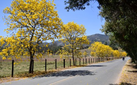 Frente fria derruba as temperaturas na região Circuito das Águas Paulista