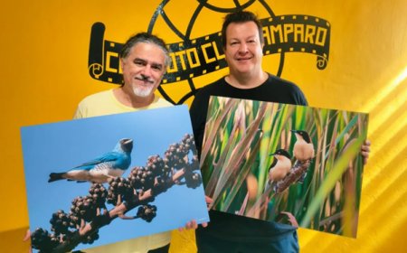 Exposição “Cores & Cantos” chega ao Cine Foto Clube de Amparo