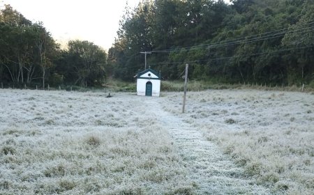 Temperaturas atingem 4°C e criam cenário de geada em Serra Negra
