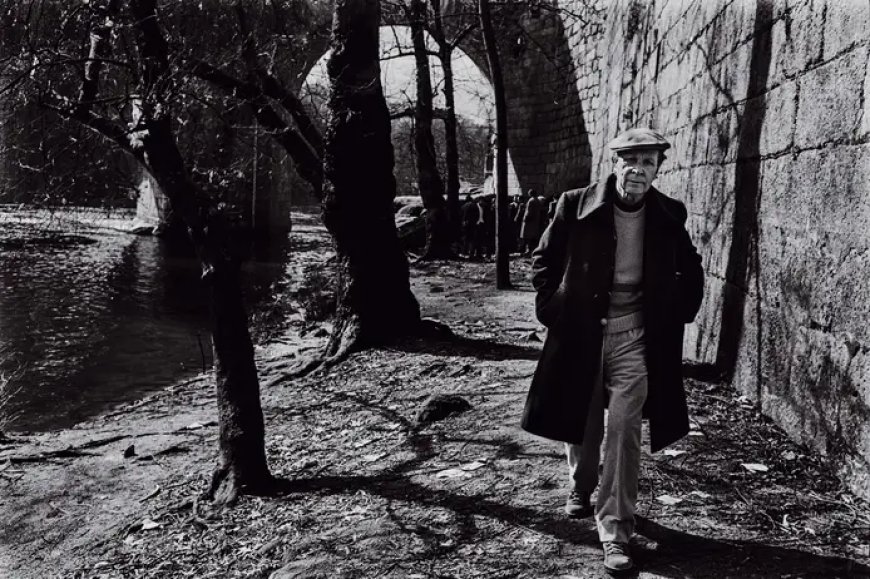 A poesia como caminho para o ser, na visão de Eugénio de Andrade