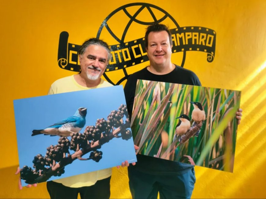 Exposição “Cores & Cantos” chega ao Cine Foto Clube de Amparo