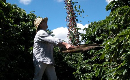 ACECAP divulga calendário de eventos do segundo semestre de 2025