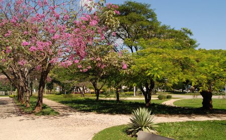 Serra Negra é líder regional no Índice de Desenvolvimento Sustentável das Cidades 2025