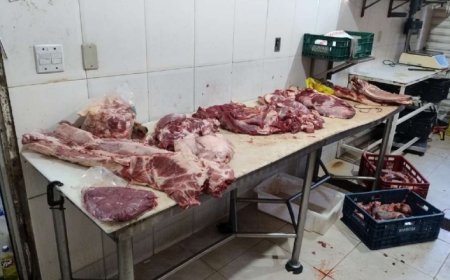 Operações em Serra Negra  e Campinas apreendem toneladas de carnes impróprias  e interditam estabelecimentos
