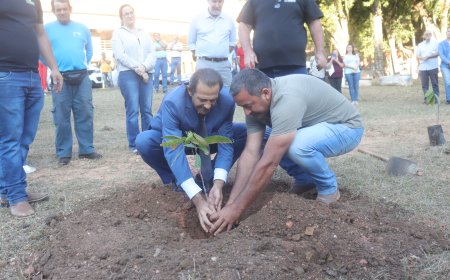Plantio de mudas de cacau marca novo capítulo para a agricultura em Serra Negra
