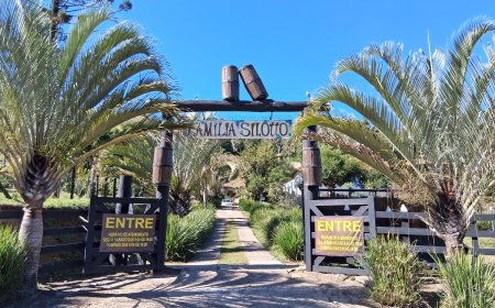 Serra Negra e Amparo têm propriedades rurais nas Rotas do Vinho de São Paulo