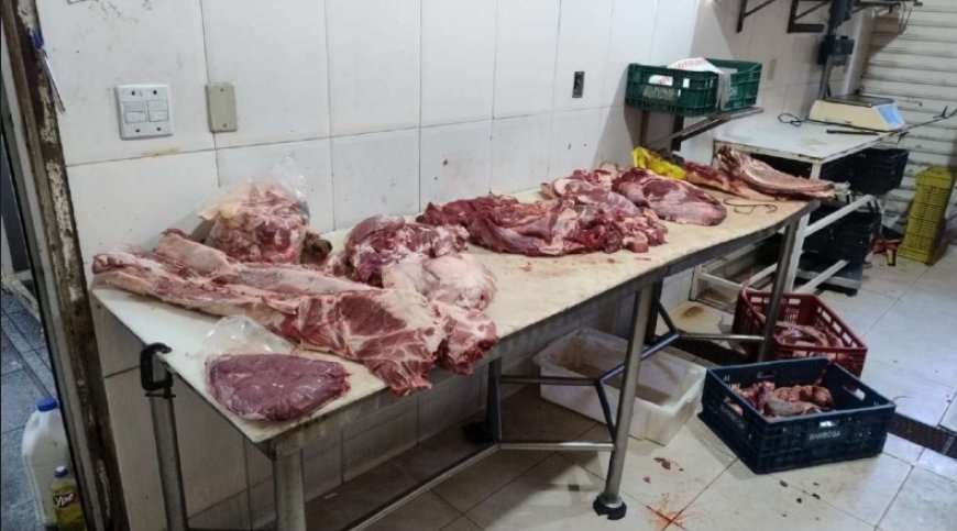 Operações em Serra Negra  e Campinas apreendem toneladas de carnes impróprias  e interditam estabelecimentos