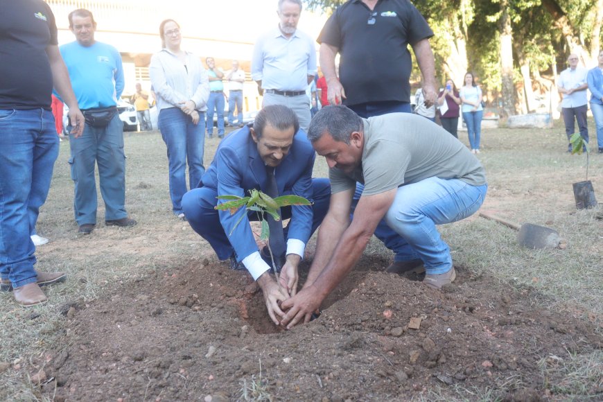 Plantio de mudas de cacau marca novo capítulo para a agricultura em Serra Negra