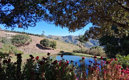 Café Nonno Marchi promove experiência imersiva com plantio de mudas em Serra Negra