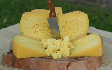 Rotas do Queijo valorizam produção artesanal e fortalecem turismo rural no Circuito das Águas Paulista