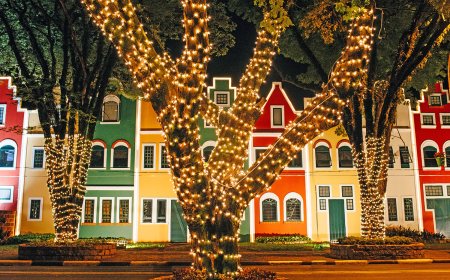 Natal de Holambra by Expoflora terá espetáculo inédito e estrutura ampliada em 2025