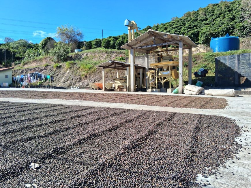 Serra Negra Para os Serranos: Café Nonno Marchi - Da quase desistência ao triunfo