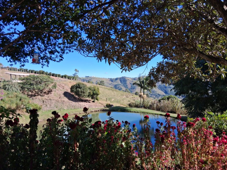 Serra Negra Para os Serranos: Café Nonno Marchi - Da quase desistência ao triunfo