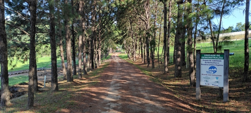 Serra Negra Para os Serranos: Nata da Serra - Autoral e orgânico no seio da terra