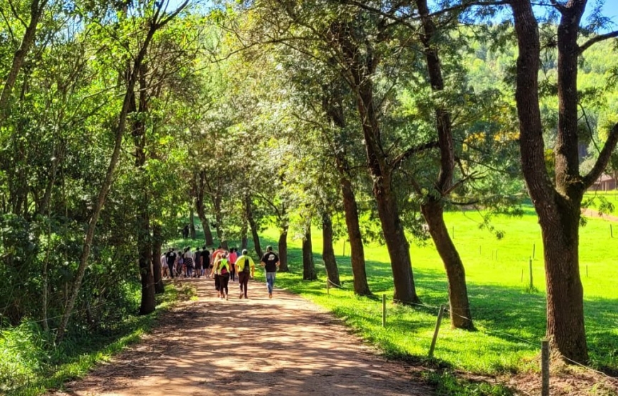 Serra Negra Para os Serranos: Nata da Serra - Autoral e orgânico no seio da terra