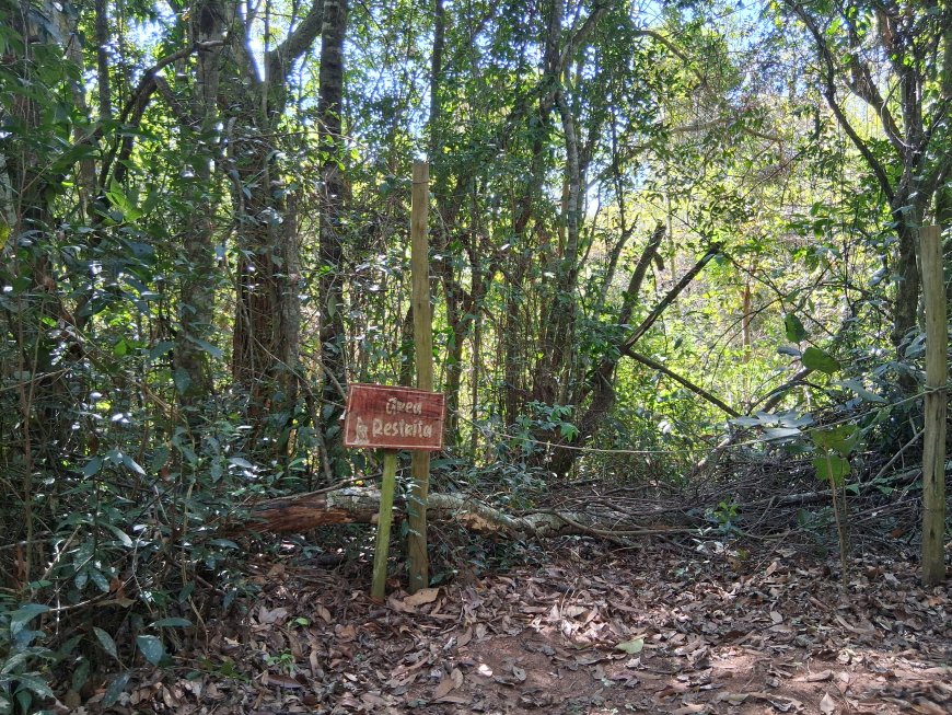 Episódio 5: Bioparque - experiência sensorial e imersiva na natureza