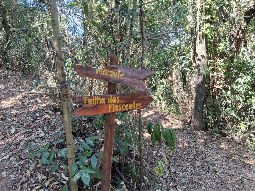 Episódio 5: Bioparque - experiência sensorial e imersiva na natureza