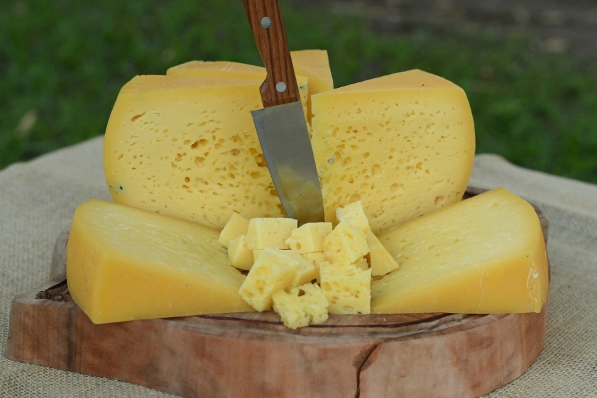 Rotas do Queijo valorizam produção artesanal e fortalecem turismo rural no Circuito das Águas Paulista