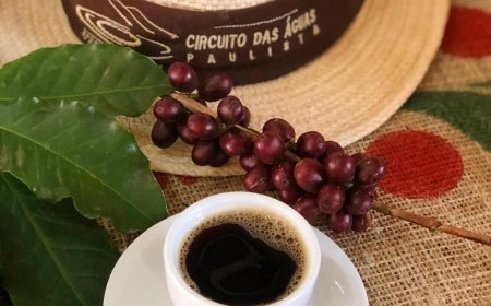 Serra Negra sedia Festival do Café Especial do Circuito das Águas Paulista 2025 neste fim de semana