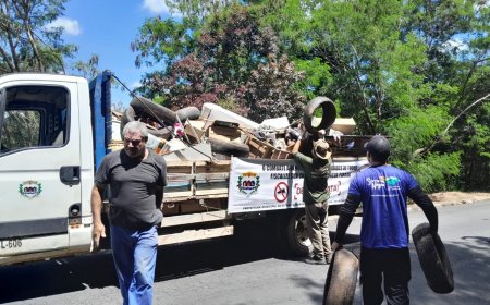 Mais de 17 mil imóveis são vistoriados em ações de combate à dengue