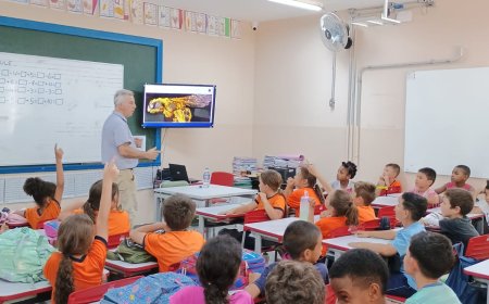 Café orgânico e abelhas nativas na defesa da biodiversidade