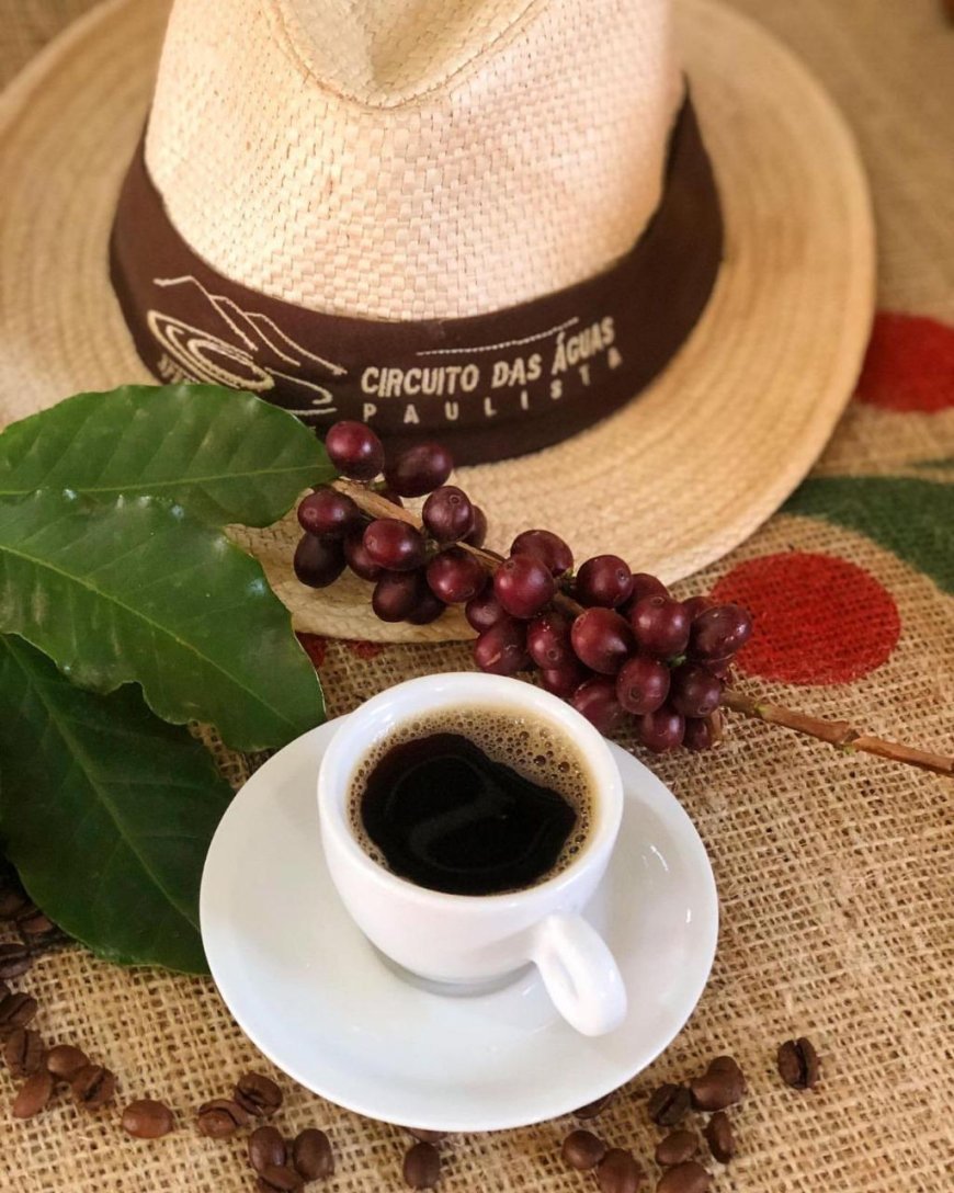 Serra Negra sedia Festival do Café Especial do Circuito das Águas Paulista 2025 neste fim de semana