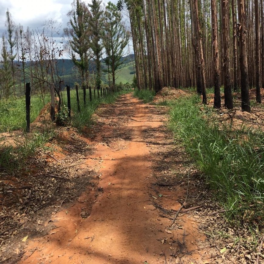 Serra Negra Para os Serranos: Episódio 7: CR Rent Quadriciclos - Aventura na Serra