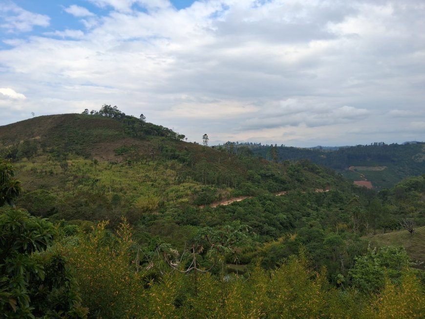 Serra Negra Para os Serranos: Episódio 8: Casa do Nazista - Visitando os porões da história