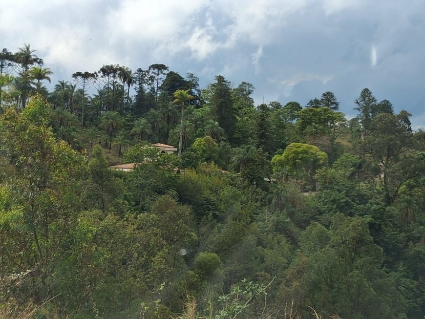 Serra Negra Para os Serranos: Episódio 8: Casa do Nazista - Visitando os porões da história