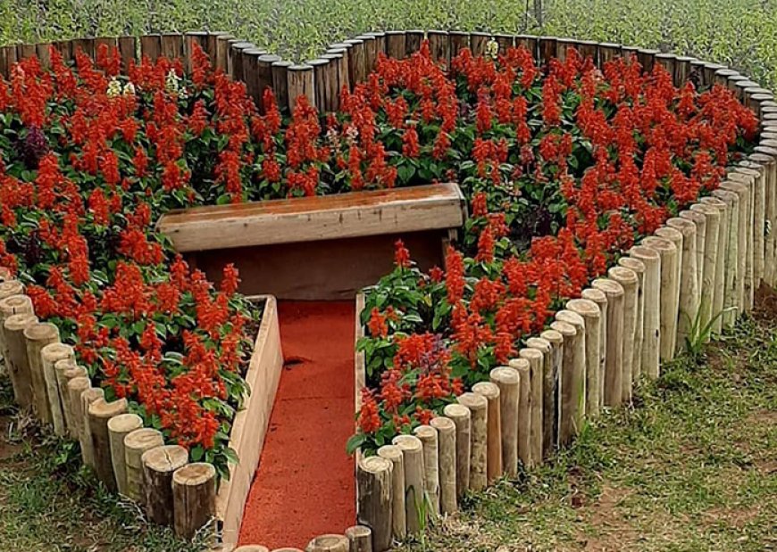 Serra Negra Para os Serranos: Episódio 9: Park Vitrine das Flores - Quando as Cordas Vão ao Chão