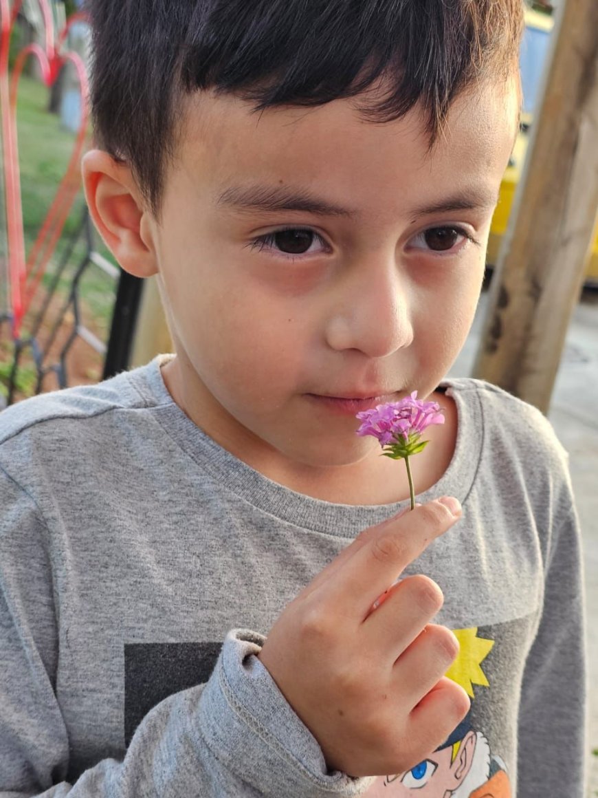 Serra Negra Para os Serranos: Episódio 9: Park Vitrine das Flores - Quando as Cordas Vão ao Chão