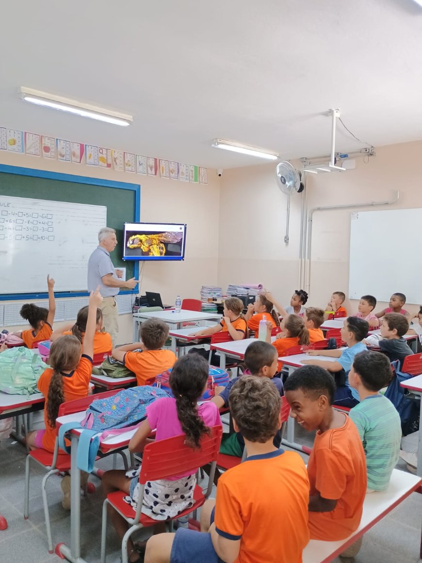 Café orgânico e abelhas nativas na defesa da biodiversidade