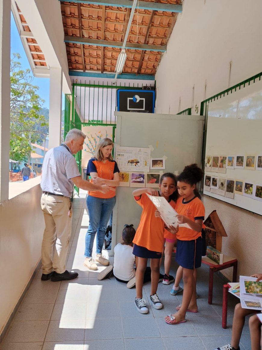 Café orgânico e abelhas nativas na defesa da biodiversidade