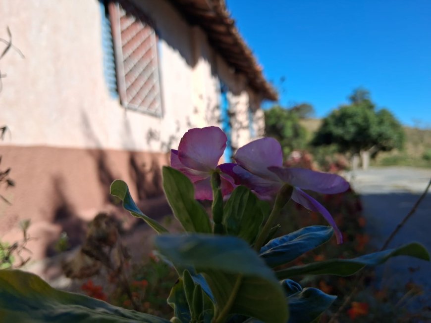 Episódio 10 (Final): Bella Roccia – Tradição Italiana à Moda Brasileira