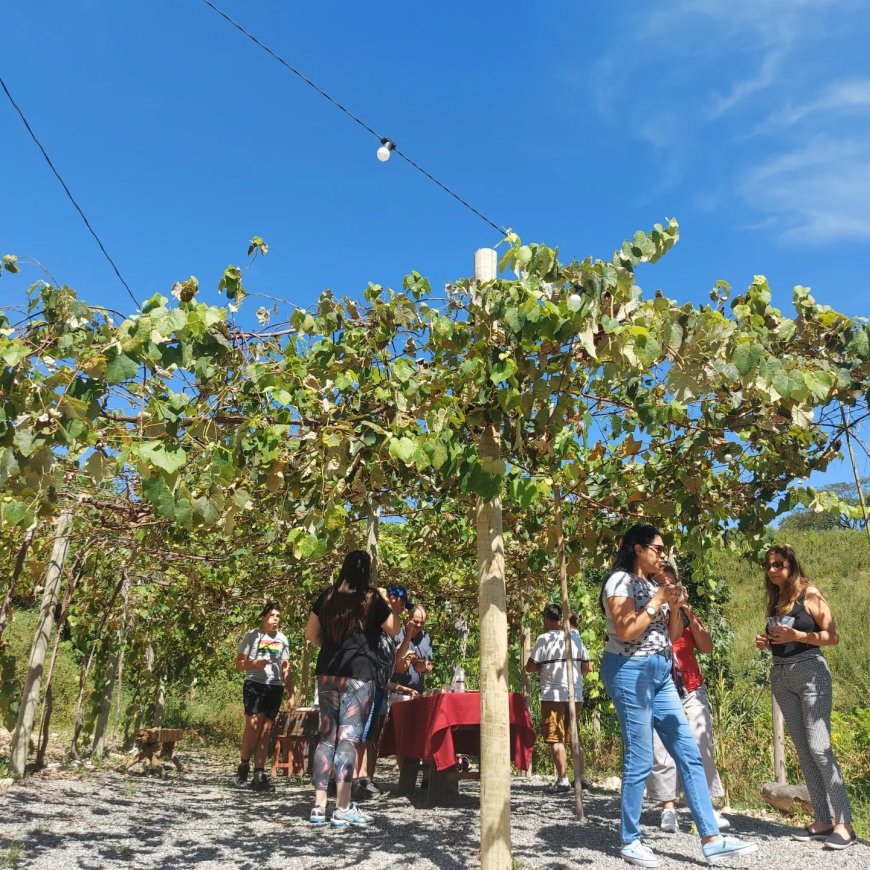 Episódio 10 (Final): Bella Roccia – Tradição Italiana à Moda Brasileira